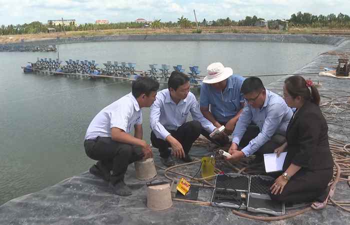 Vai trò của công tác quan trắc môi trường phục vụ nuôi tôm nước lợ (23-04-2024)